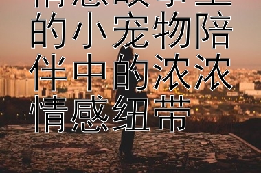 情感故事里的小宠物陪伴中的浓浓情感纽带